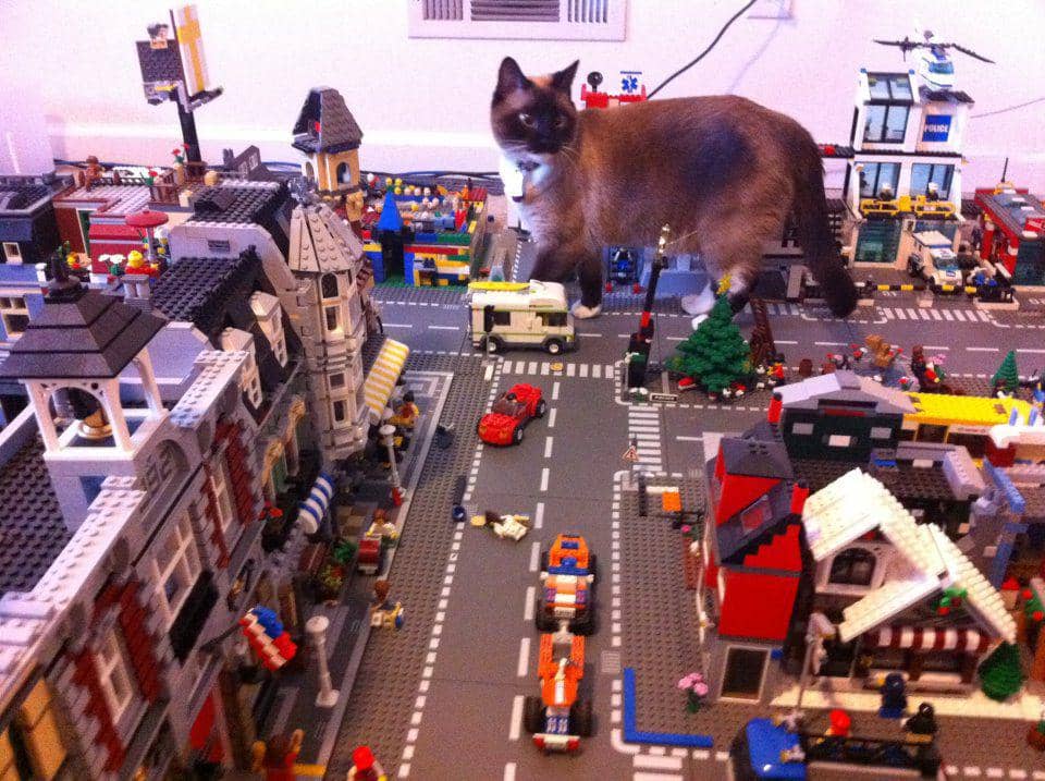 foto gemas kucing main Lego (reddit.com/user/vbisbest)