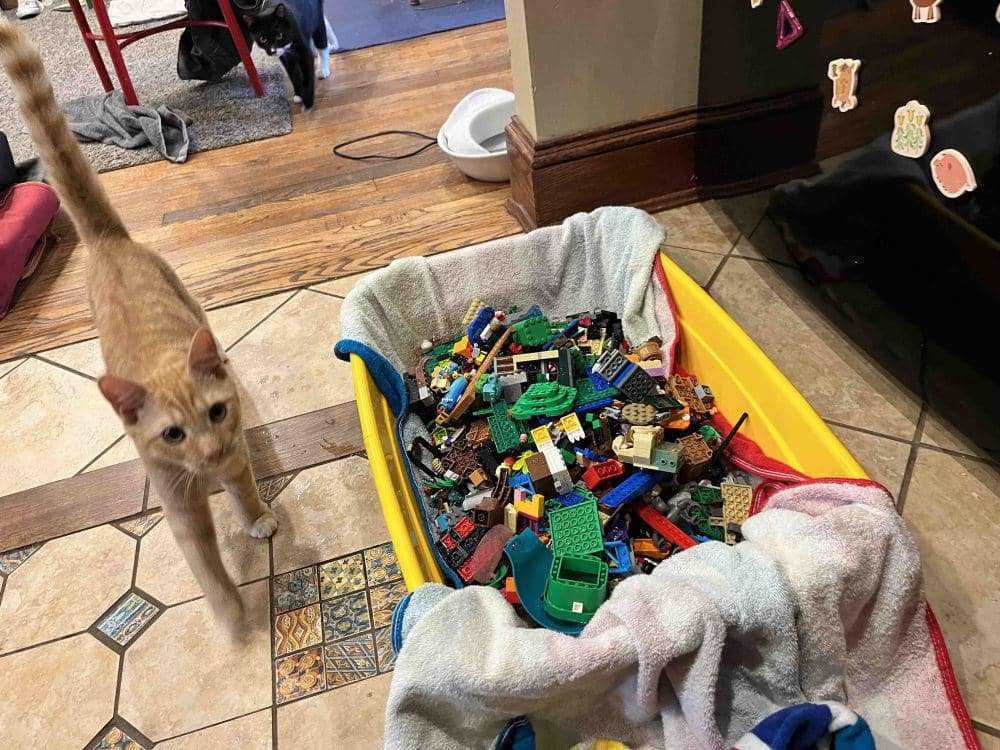 foto gemas kucing main Lego (reddit.com/user/Turbulent-Egg6999)