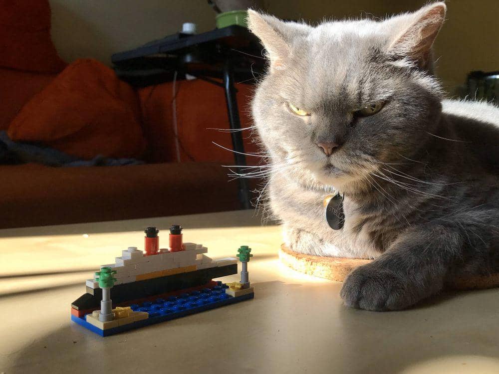 foto gemas kucing main Lego (reddit.com/user/fcbRNkat)