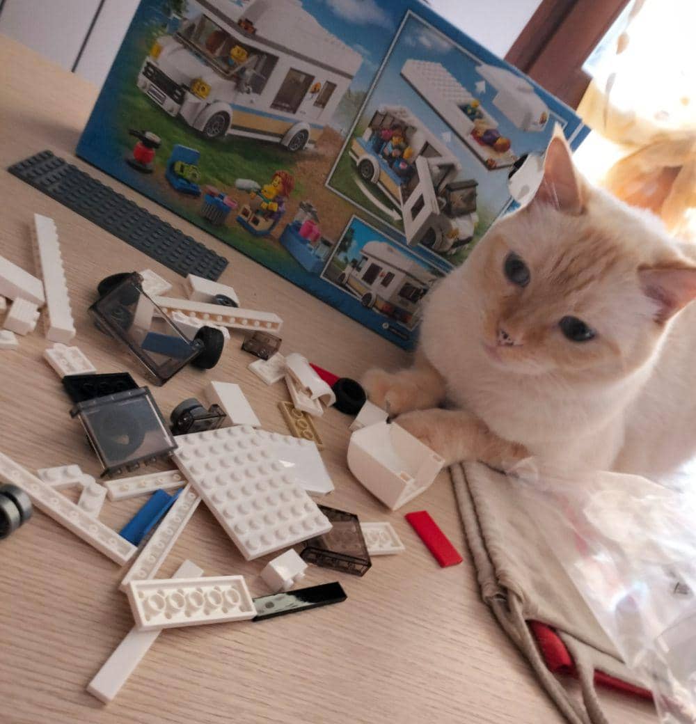 foto gemas kucing main Lego (reddit.com/user/Winter_Biscotti_728)