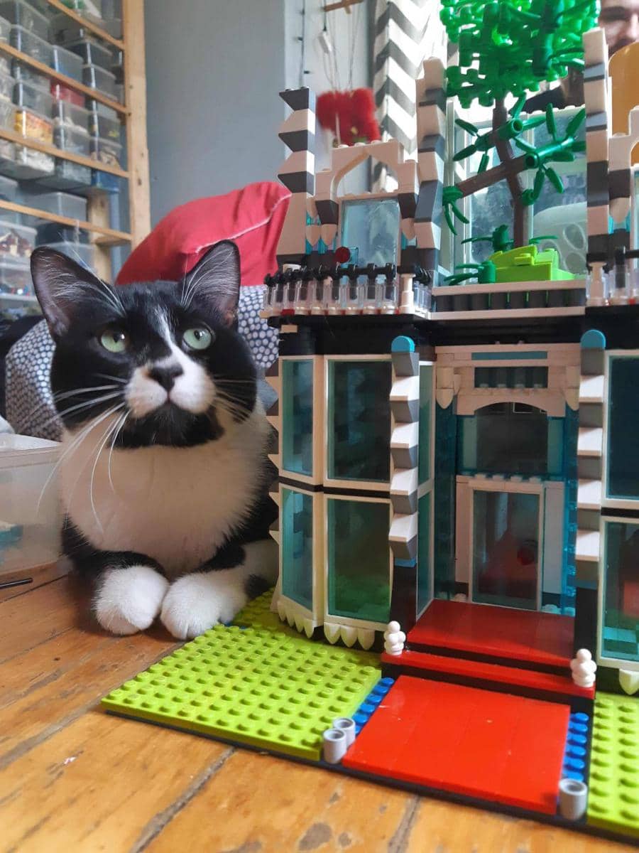 foto gemas kucing main Lego (reddit.com/user/lesmonstresexistent)