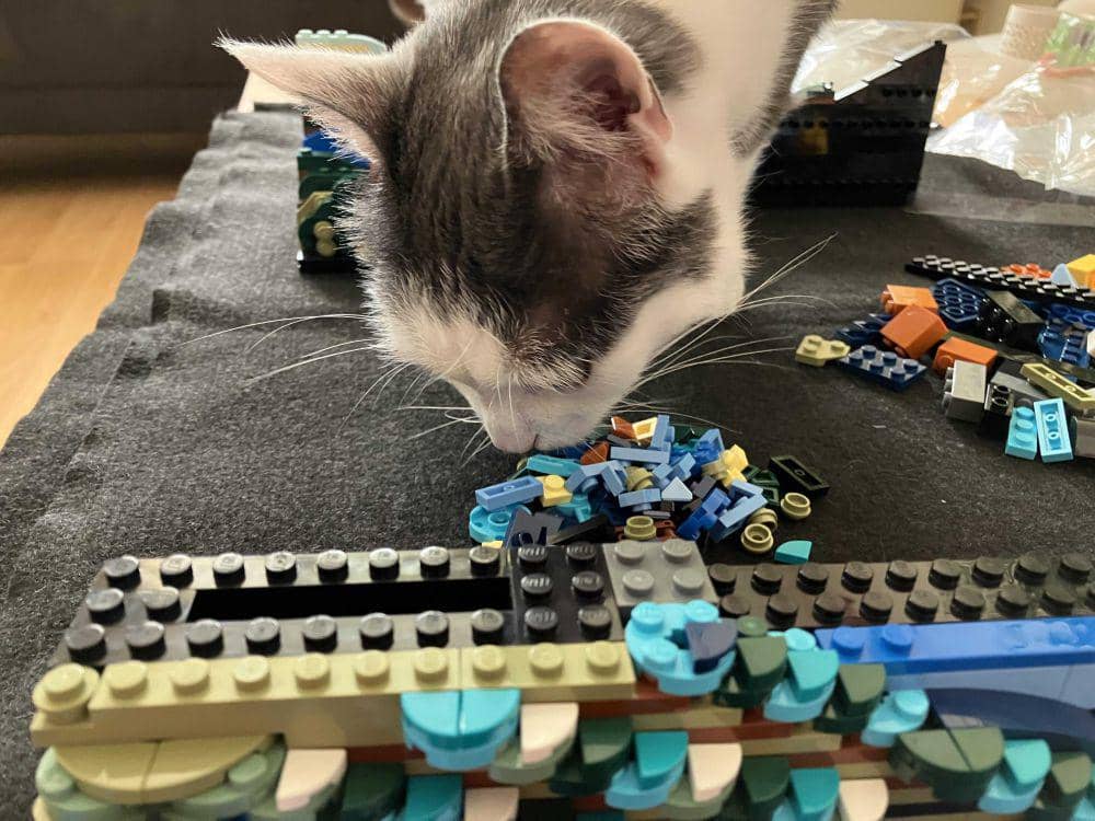 foto gemas kucing main Lego (reddit.com/user/misssnapshot)