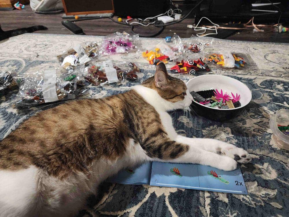 foto gemas kucing main Lego (reddit.com/user/ac_hrt)