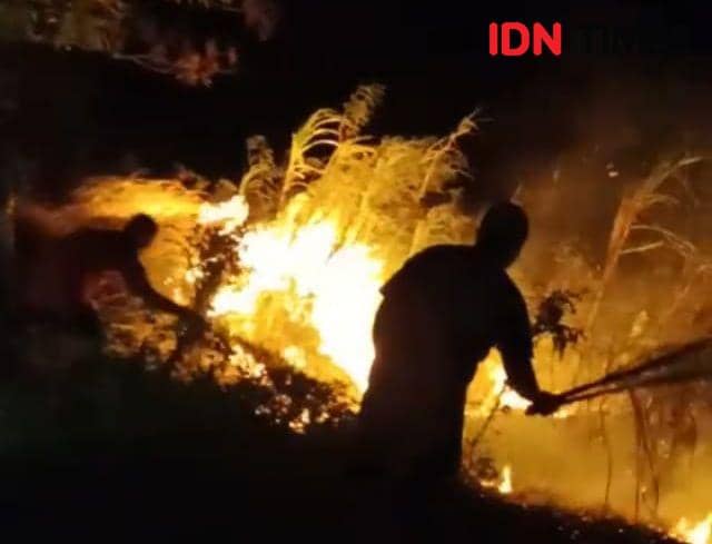 Kebakaran Hutan Hanguskan Empat Hektare Lahan di Majalengka