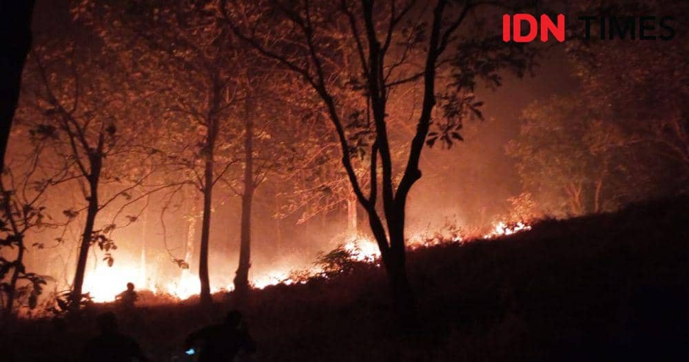 BPBD Majalengka/ kobaran api melalap lahan