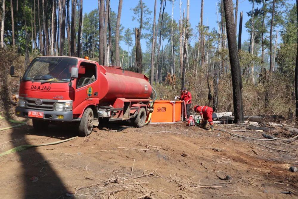 Kebakaran Hutan Pinus Tala-tala di Maros Terkendali