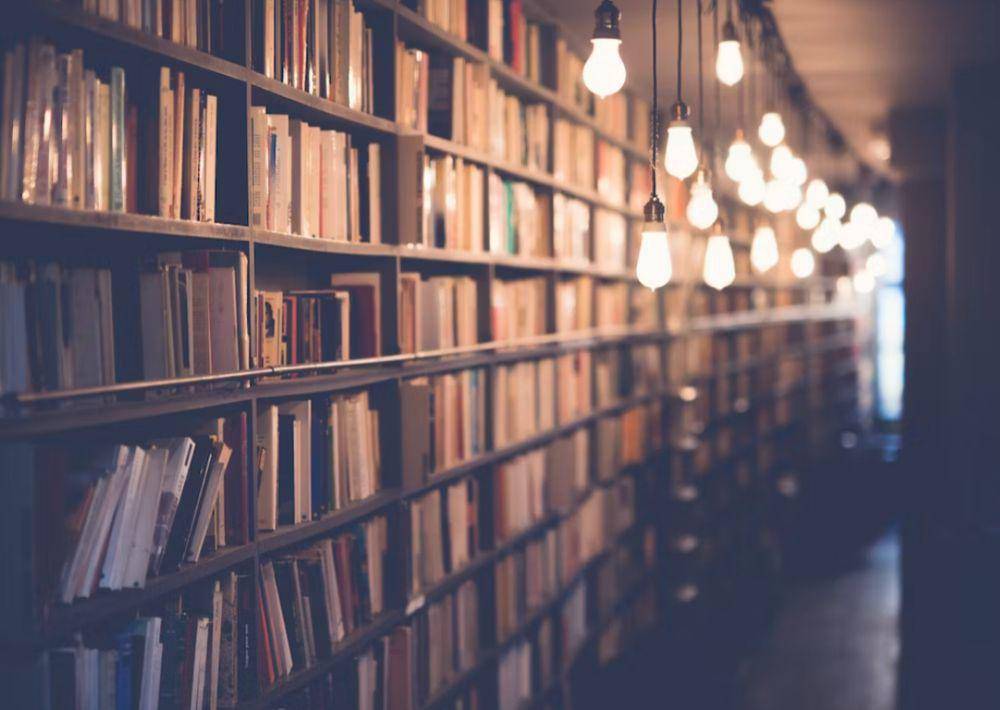 Rak Buku(unsplash.com/@itfeelslikefilm)
