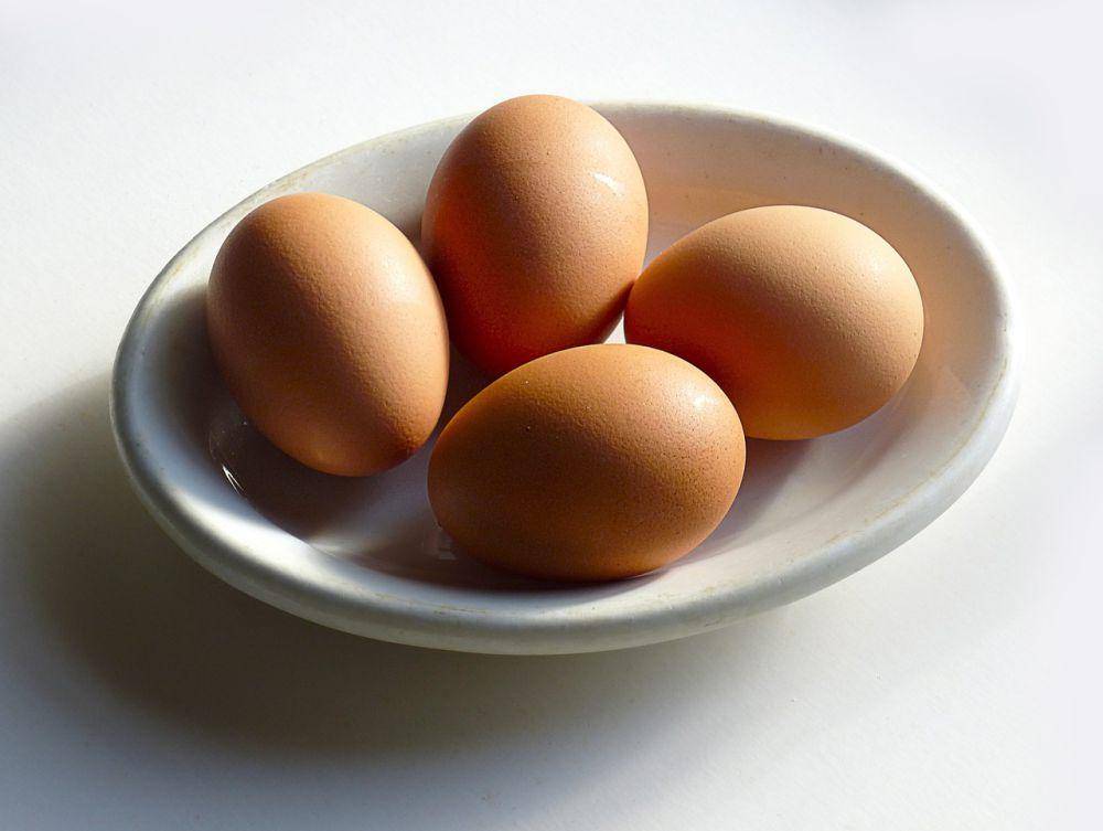 Ilustrasi telur segar (pixabay.com/cuncon)