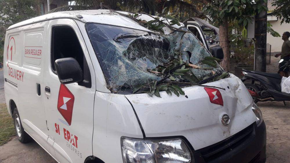 Mobil tertimpa pohon mangga tumbang di Bantul.(Dok.Polres Bantul)