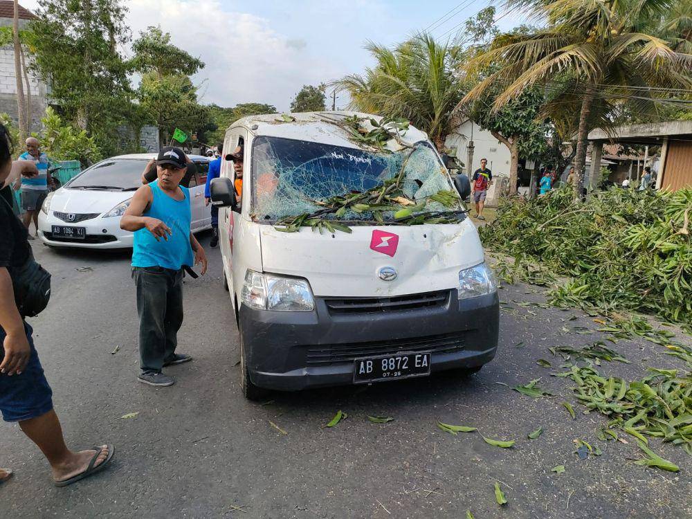 Mobil tertimpa pohon mangga tumbang di Bantul.(Dok.Polres Bantul)