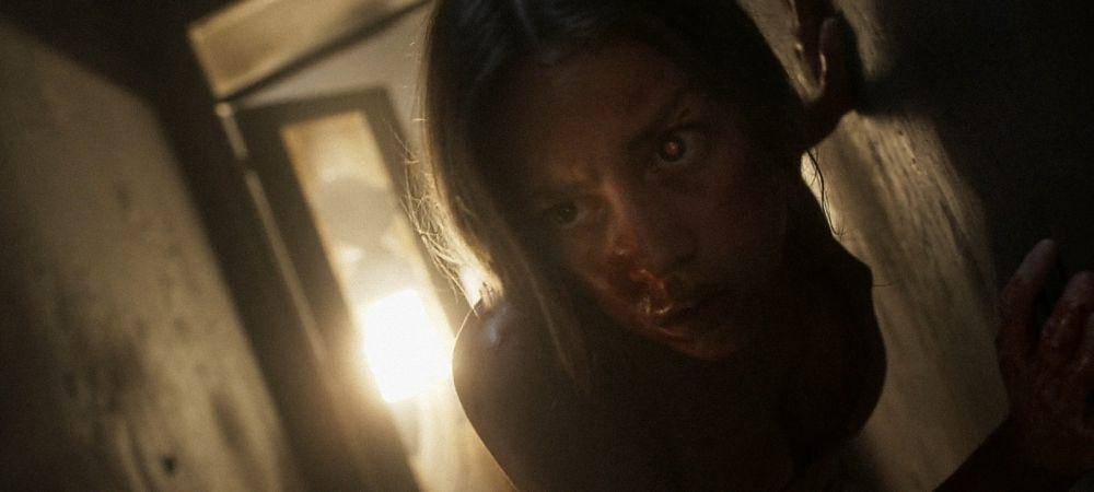 Venus (dok. Pokeepsie Films/Venus)