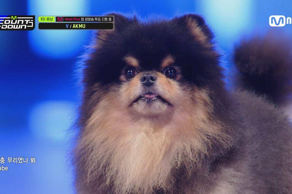 Yeontan debut di M Countdown bersama V BTS (youtube.com/Mnet Kpop)
