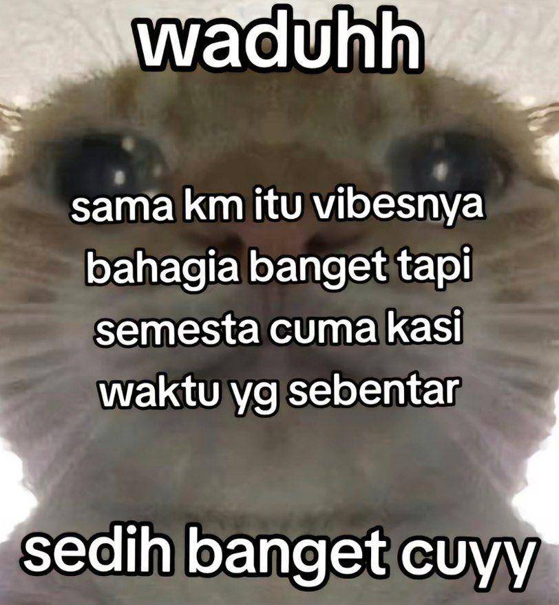 meme move on (instagram.com/skystar_ok)