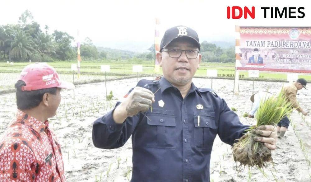 Kepala Dinas Tanaman Pangan dan Hortikultura Provinsi Kalimantan Barat, Florentinus Anum. (IDN Times/Istimewa).