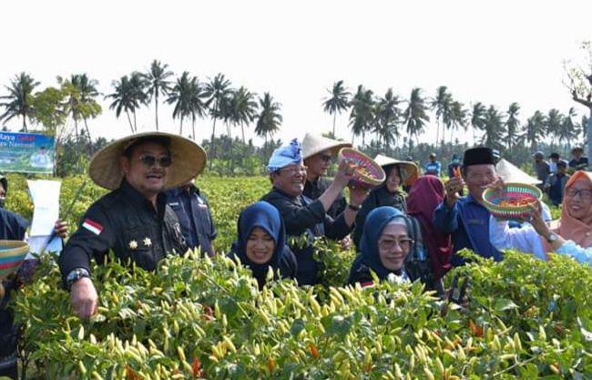 Menteri Pertanian Dorong Warga Lombok Timur untuk Bertani