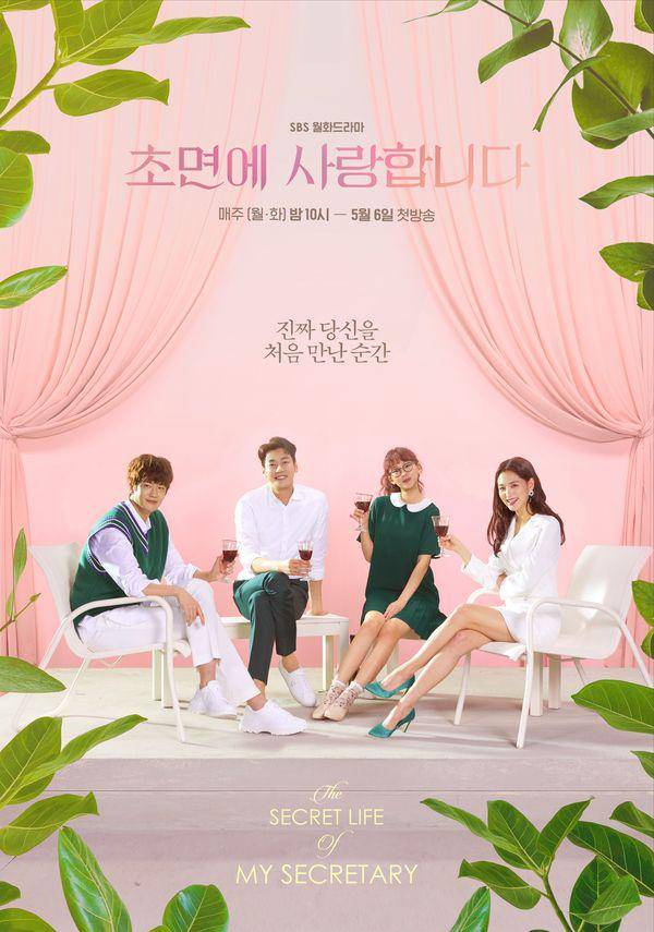 poster The Secret Life of My Secretary (instagram.com/sbsnow_insta)