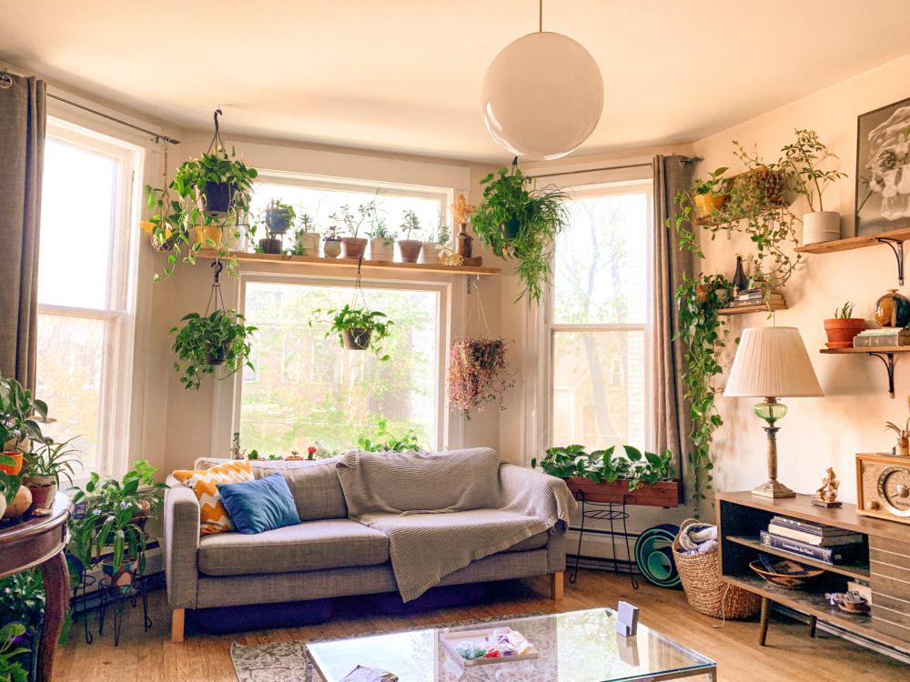 5 Tips Memulai Indoor Gardening, Solusi Berkebun di Ruangan Sempit