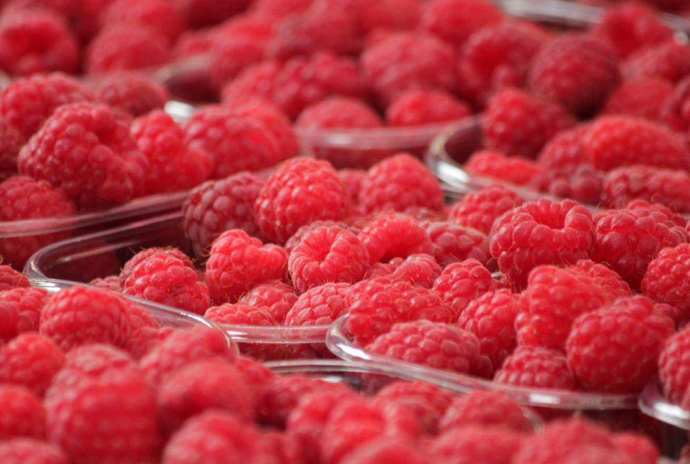 buah raspberi (pexels.com/Pixabay)