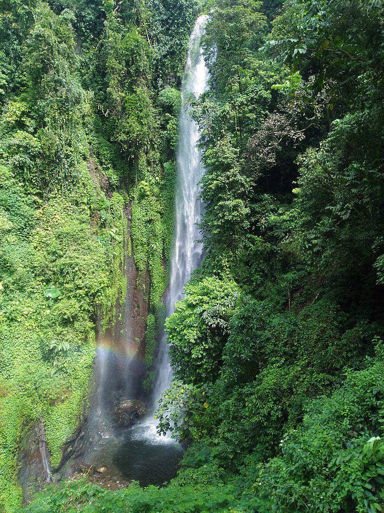 Air Terjun Putuk Truno (wikimedia.org/Elhama02)