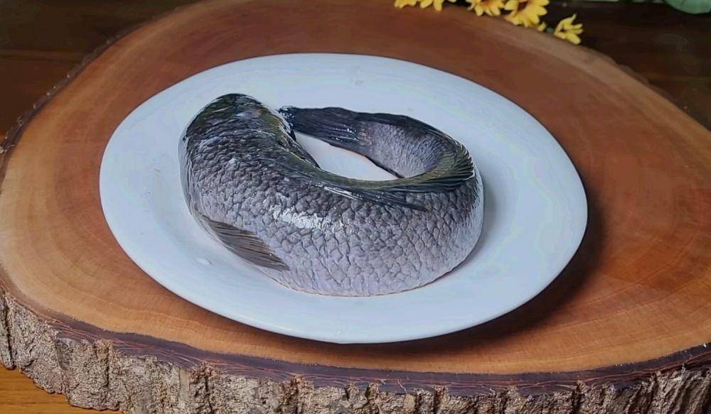 ilustrasi ikan gabus (youtube.com/Ceceromed Kitchen)