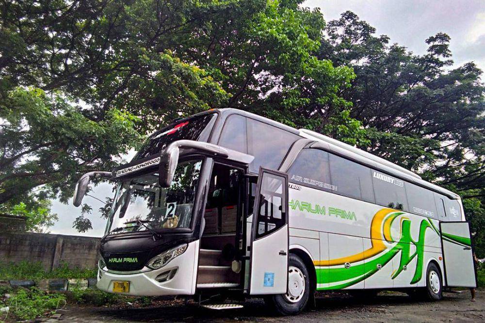 Ilustrasi bus Harum Prima (instagram.com/anwarznrf)