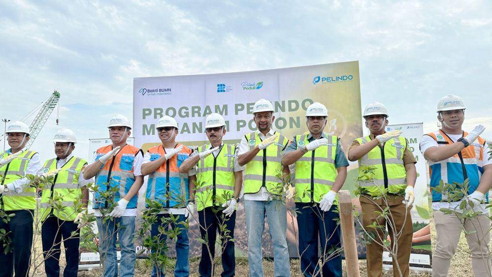 PT Pelindo Multi Terminal, Subholding menggelar aksi penanaman pohon di area Pelabuhan Belawan (Dok. IDN Times)