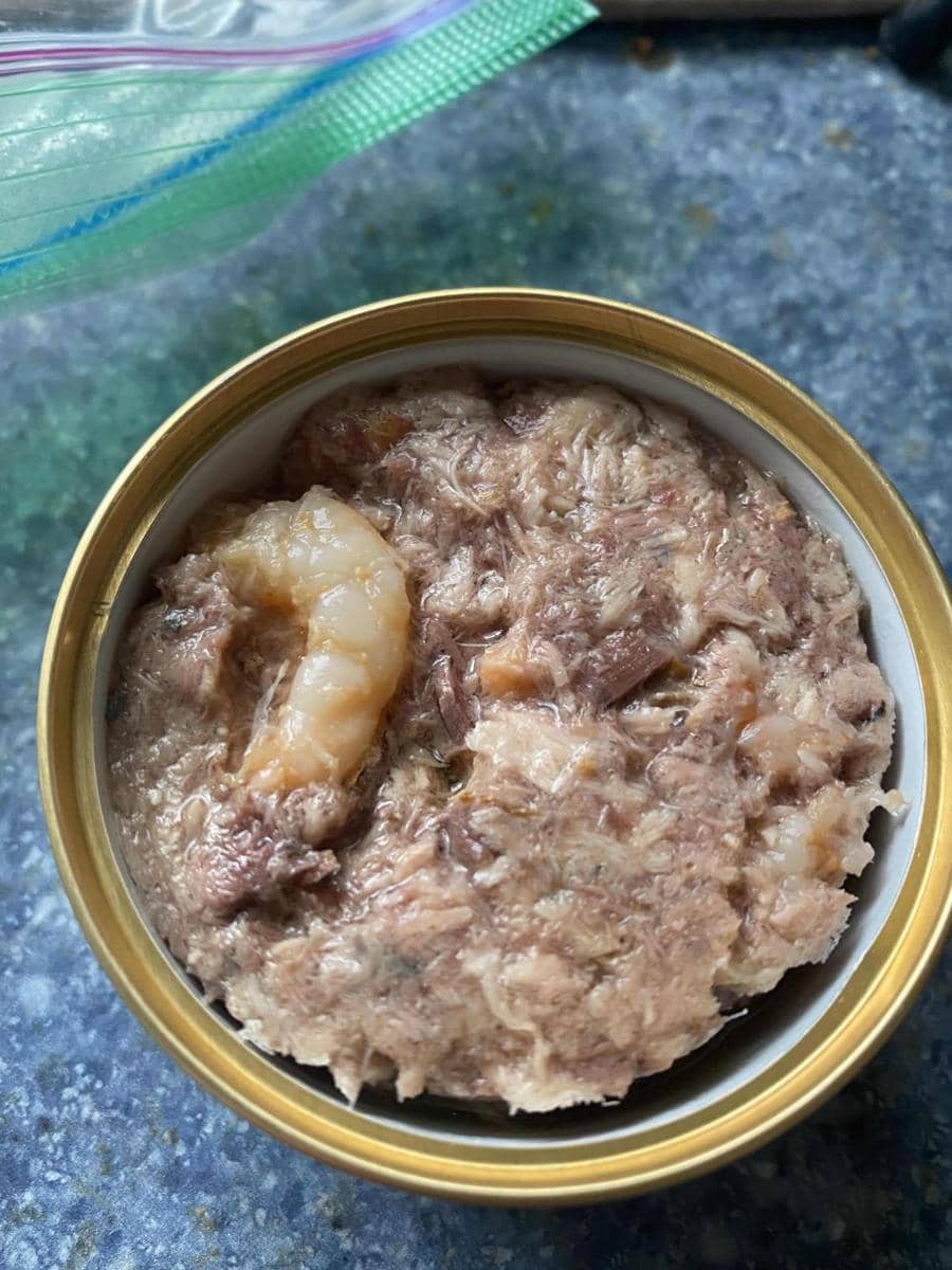 momen unik saat membeli makanan kucing (reddit.com/user/forum4um)