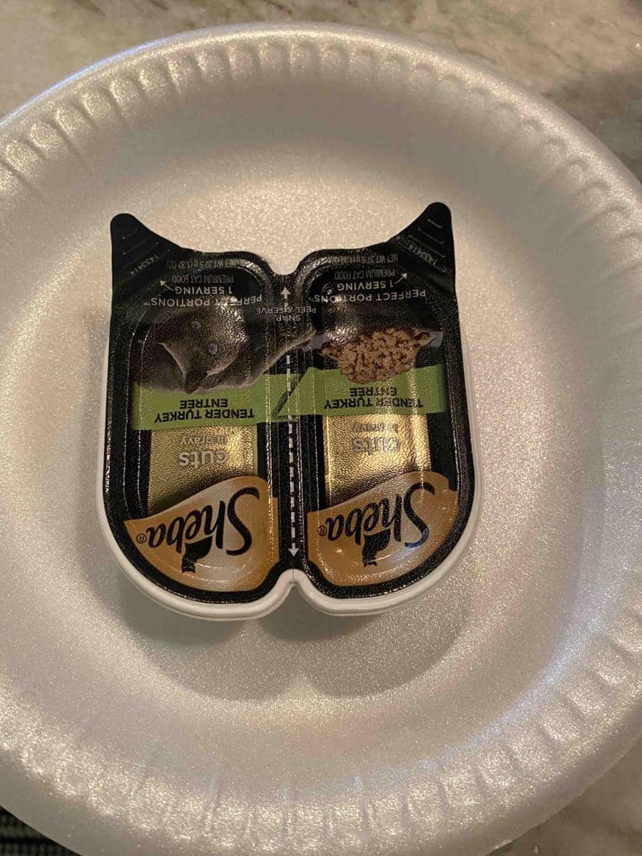 momen unik saat membeli makanan kucing (reddit.com/user/Ineedunderscoreadvic)