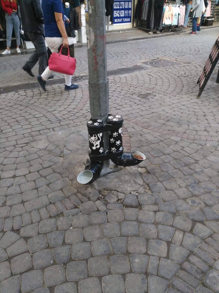 momen unik saat membeli makanan kucing (reddit.com/user/Kind_Offer_1231)