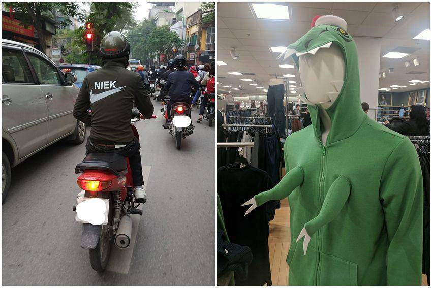 kolase potret hoodie desain nyeleneh dan kocak (reddit.com/user/Picito10x | reddit.com/user/flyingtad)