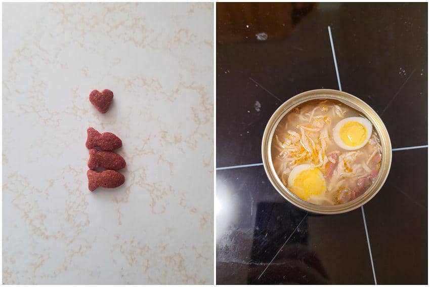 8 Momen Unik saat Beli Makanan Kucing, Ada Kibble Love