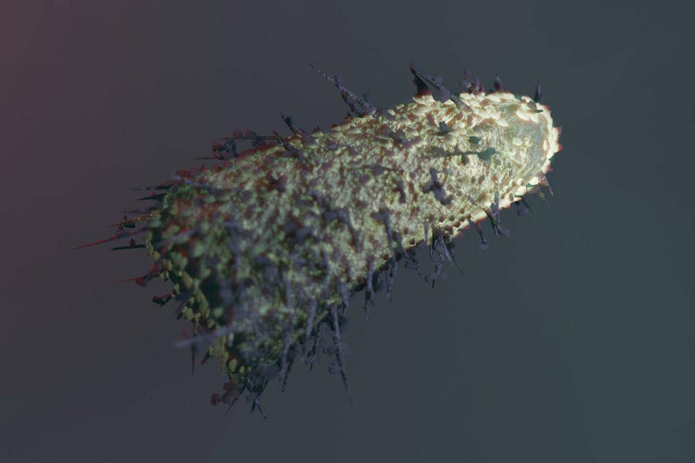 Virus rabies. (pixabay.com)