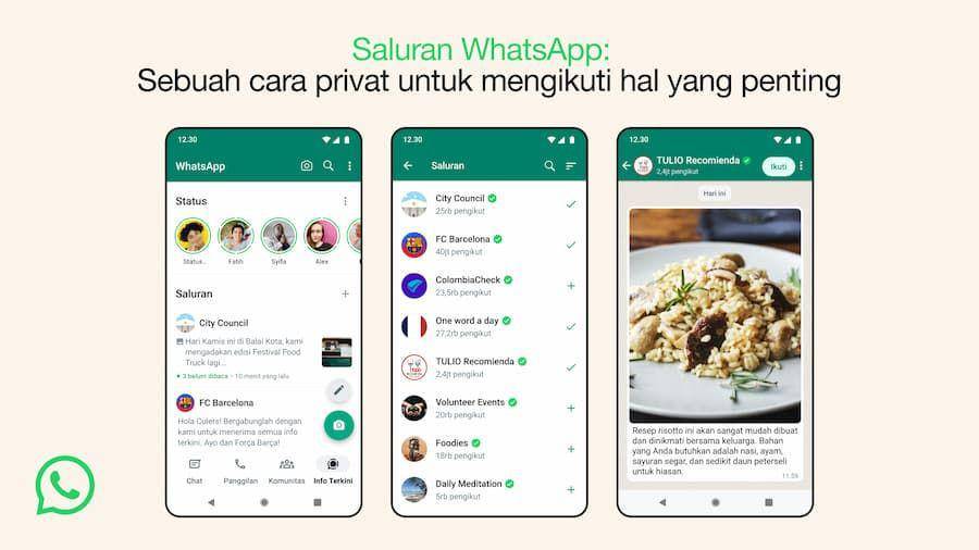 ilustrasi fitur Channel WhatsApp (dok. WhatsApp)