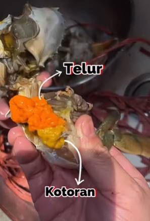 Perbedaan telur dan kepiting (instagram.com/thebiggerchef)