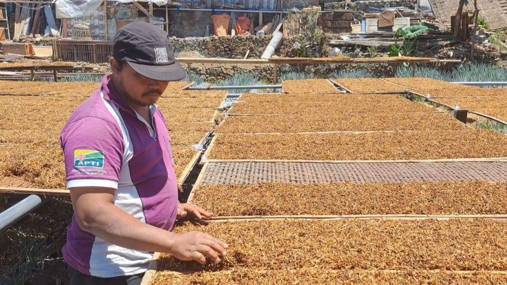 APTI Cari Capres yang Berpihak ke Petani Tembakau