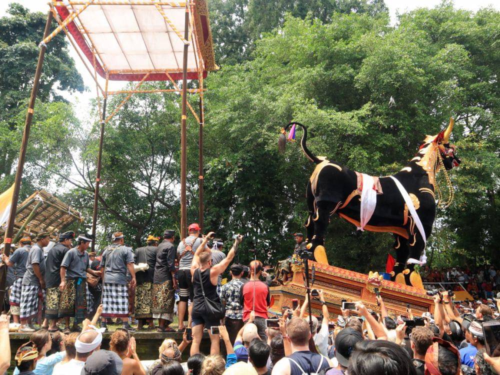 Salah satu prosesi upacara pelebon di Ubud (Dok.Pribadi/Natalia Indah)