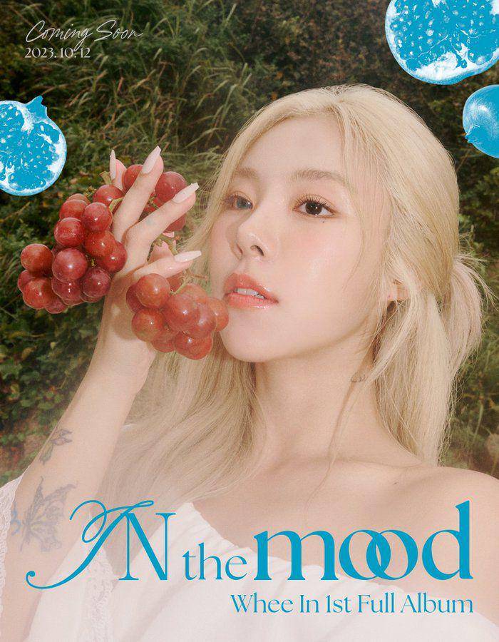 Wheein MAMAMOO (twitter.com/THEL1VE_LABEL)