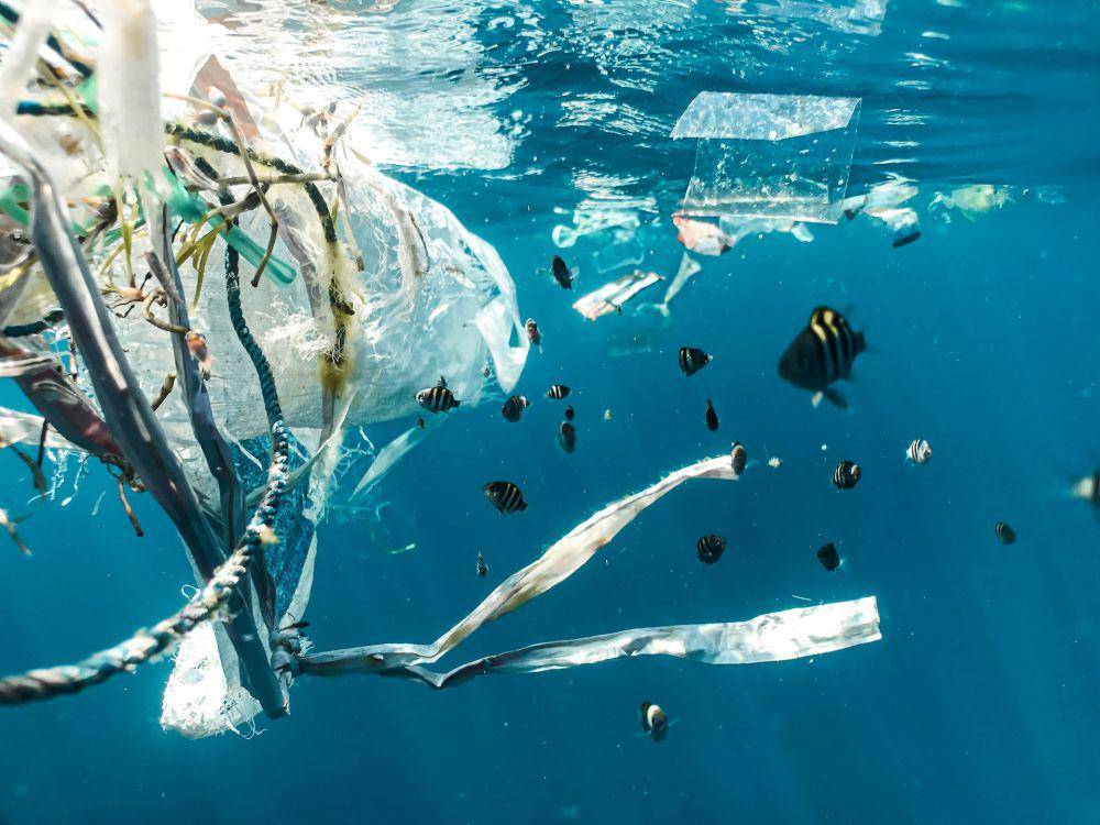 ilustrasi sampah plastik di laut (unsplash.com/Naja Bertolt Jensen)