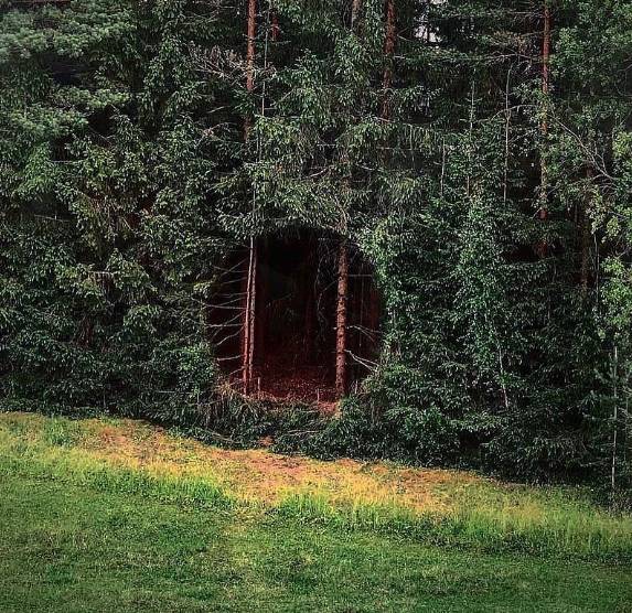 potret lucu hal estetik bikin ngeri (instagram.com/cursed.aesthetic)