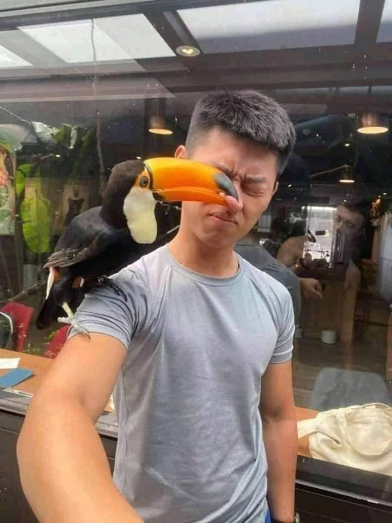 potret momen sebelum digigit hewan (reddit.com/user/Witty_Operation2486)