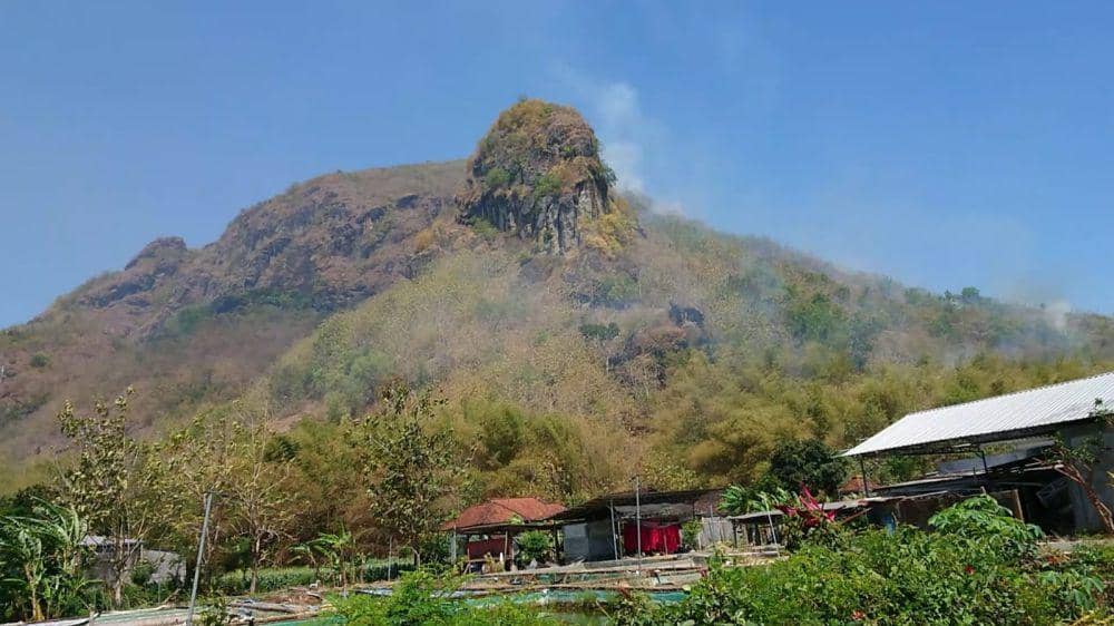 Habitat Satwa di Gunung Budeg Terancam Akibat Kebakaran Hutan