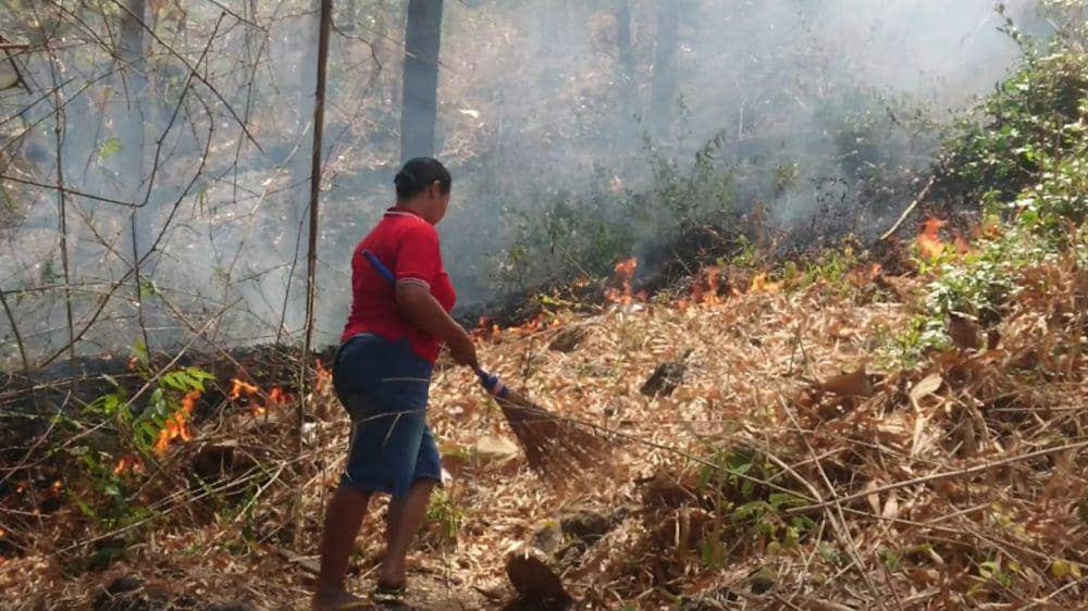 Warga berusaha memadamkan api di Gunung Budeg. IDN Times/ Bramanta Pamungkas