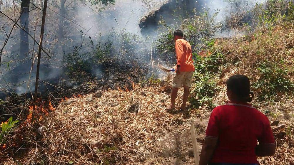 Warga berusaha memadamkan api di Gunung Budeg. IDN Times/ Bramanta Pamungkas