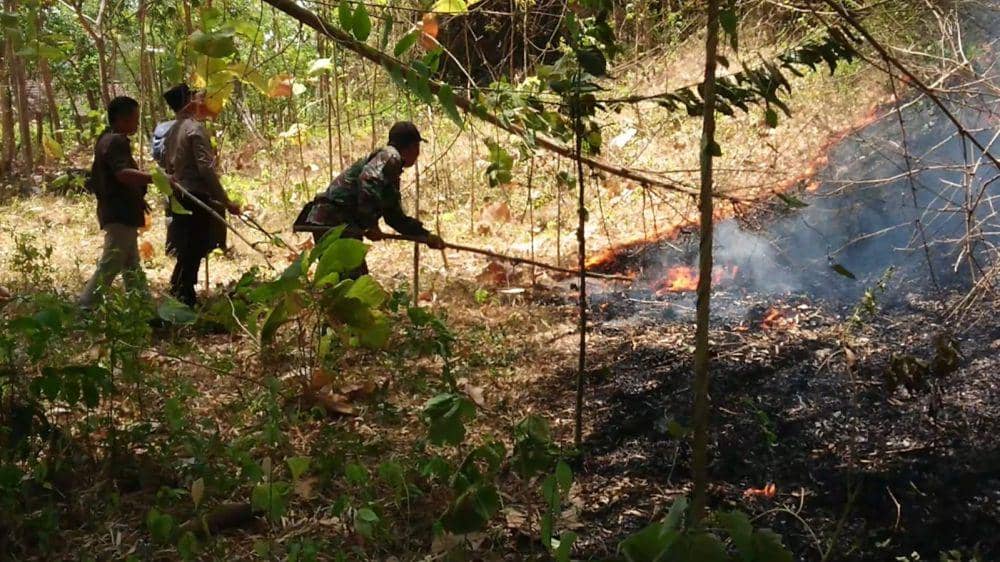 Warga berusaha memadamkan api di Gunung Budeg. IDN Times/ Bramanta Pamungkas