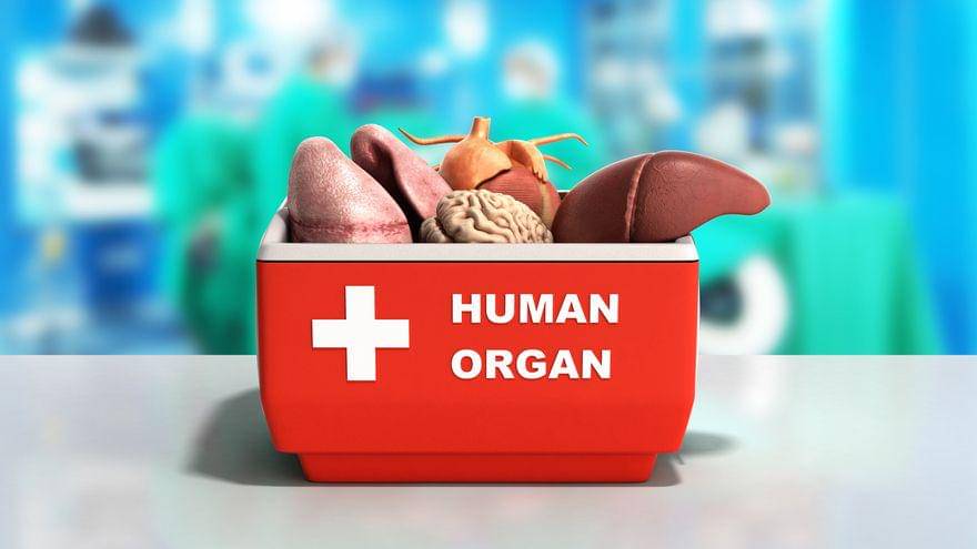 ilustrasi organ manusia (icloudhospital.com)