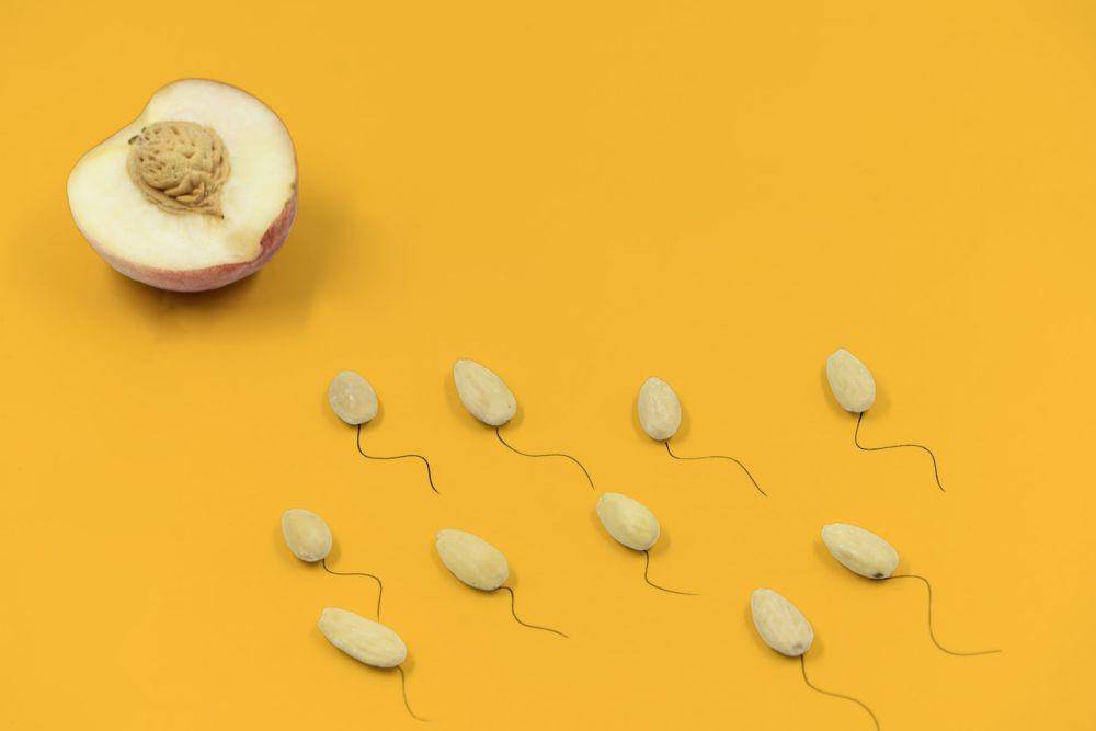 ilustrasi sel telur dan sperma (pexels.com/bedbible .com)