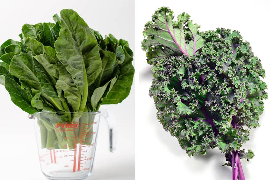 Perbedaan kailan dan kale (omnivorescookbook.com | truegarden.com)