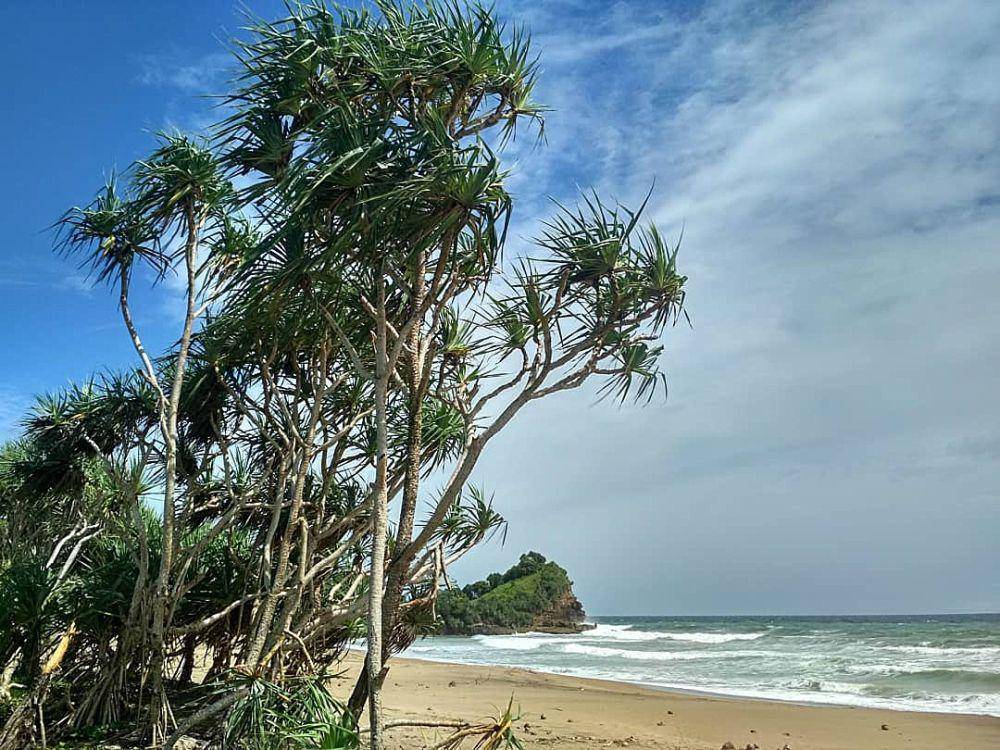 ilustrasi pantai wonogoro (instagram.com/pantaiwonogoro)