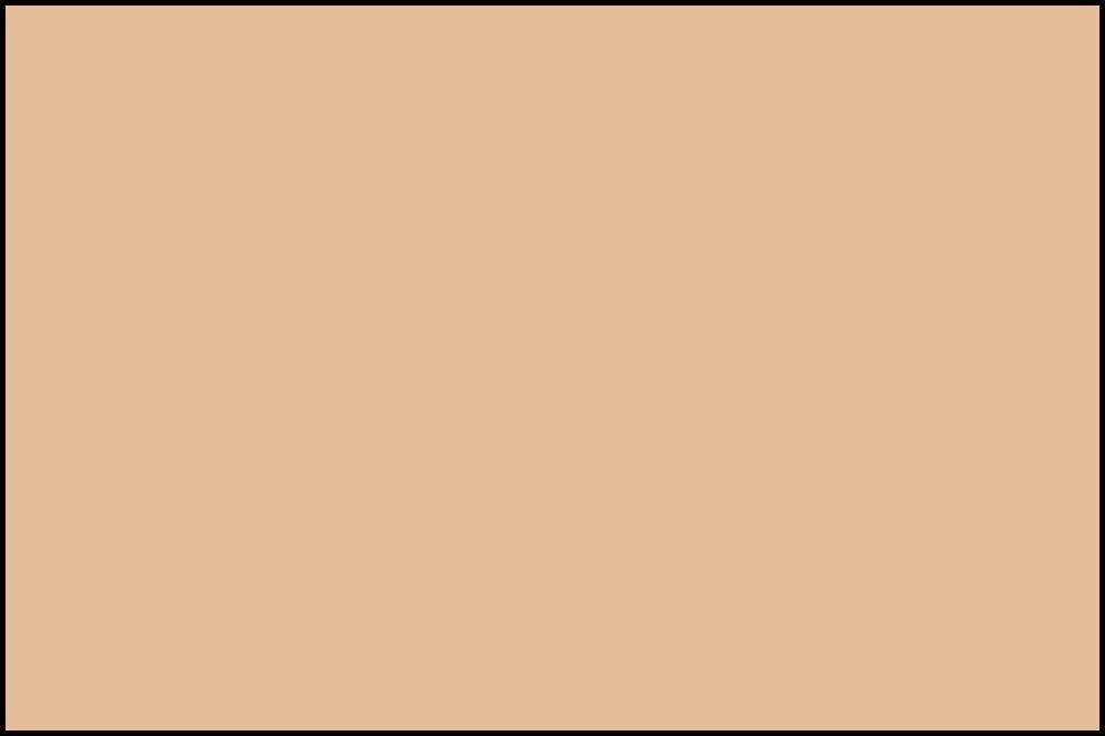 Ilustrasi warna cat peach (dok. IDN Times/Robert)