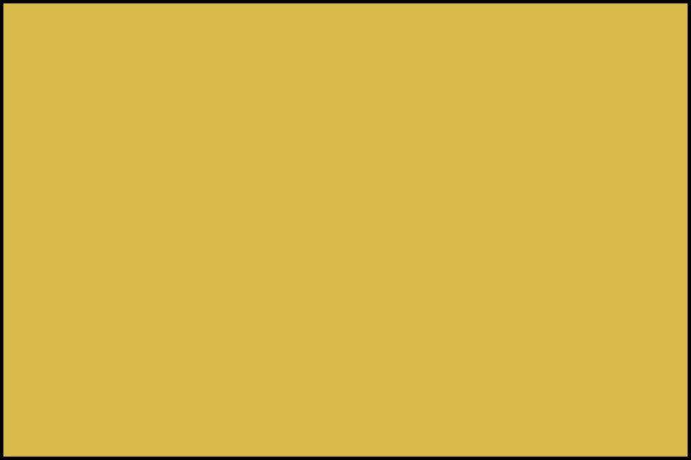 Ilustrasi warna cat kuning (dok. IDN Times/Robert)
